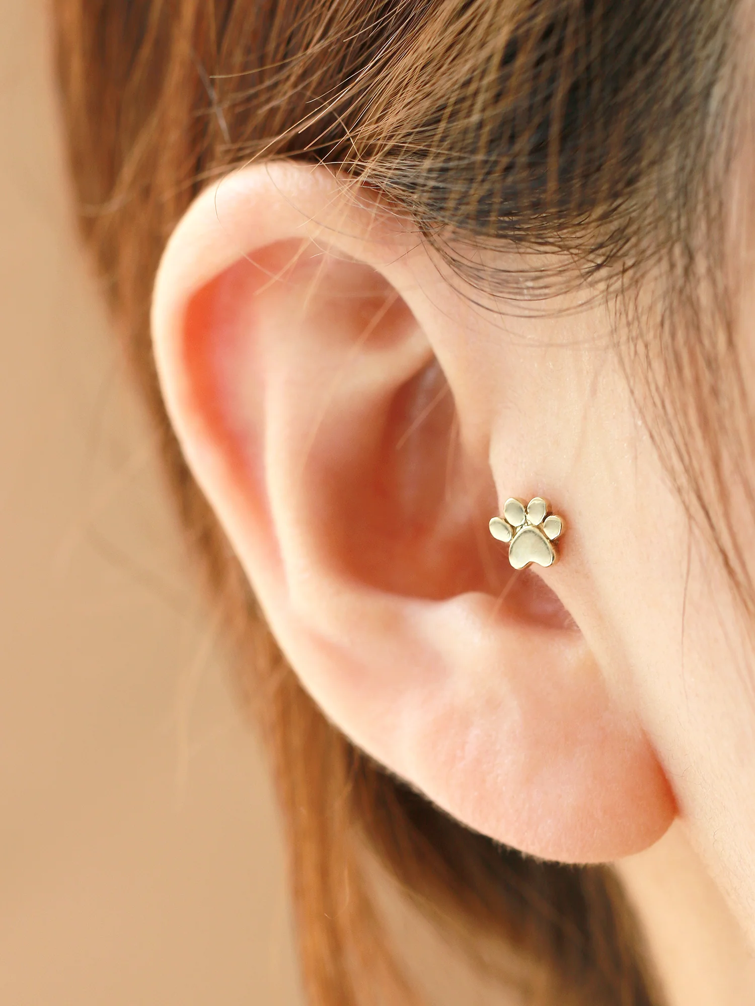 14K Gold Dog's Sole Cartilage Earring 18G16G - Image 9